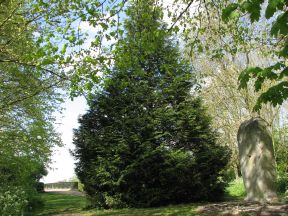 Greenwich Meridian Marker; England; Essex; Waltham Abbey